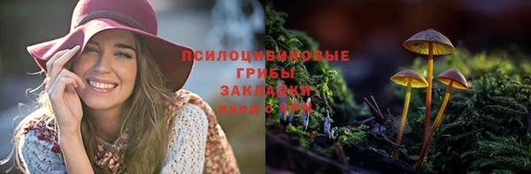 дмт Покровск