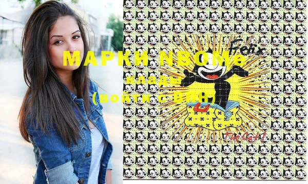 ешки Алексин