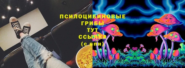 ешки Алексин