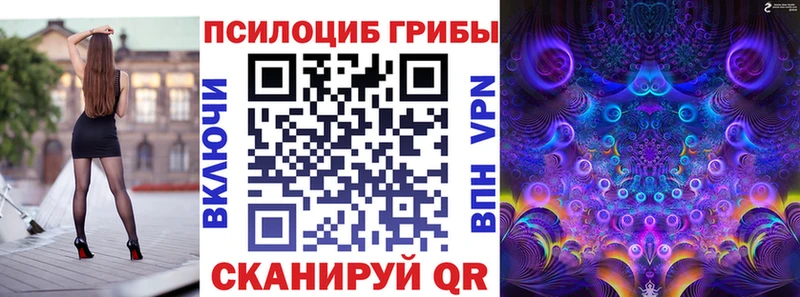 купить наркотики сайты  Южно-Сухокумск  Псилоцибиновые грибы ЛСД 